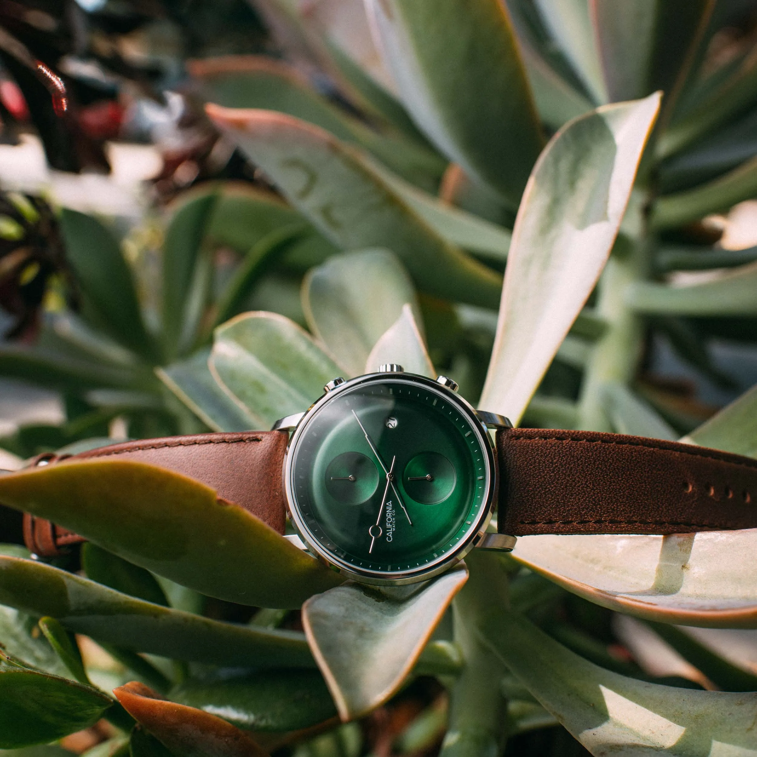 Golden Gate Chrono Leather Dark Brown Green